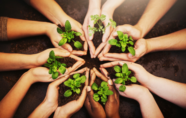 Selbstorganisation und Verantwortungsübernahme