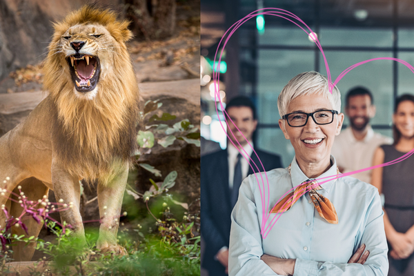 führung hart oder herzlich